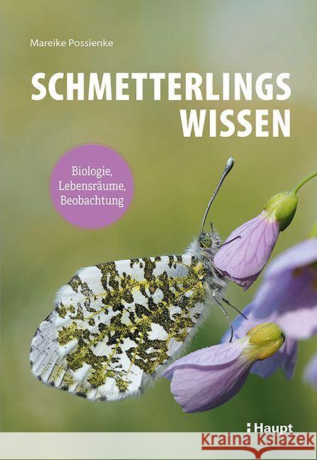 Schmetterlingswissen Possienke, Mareike 9783258083582