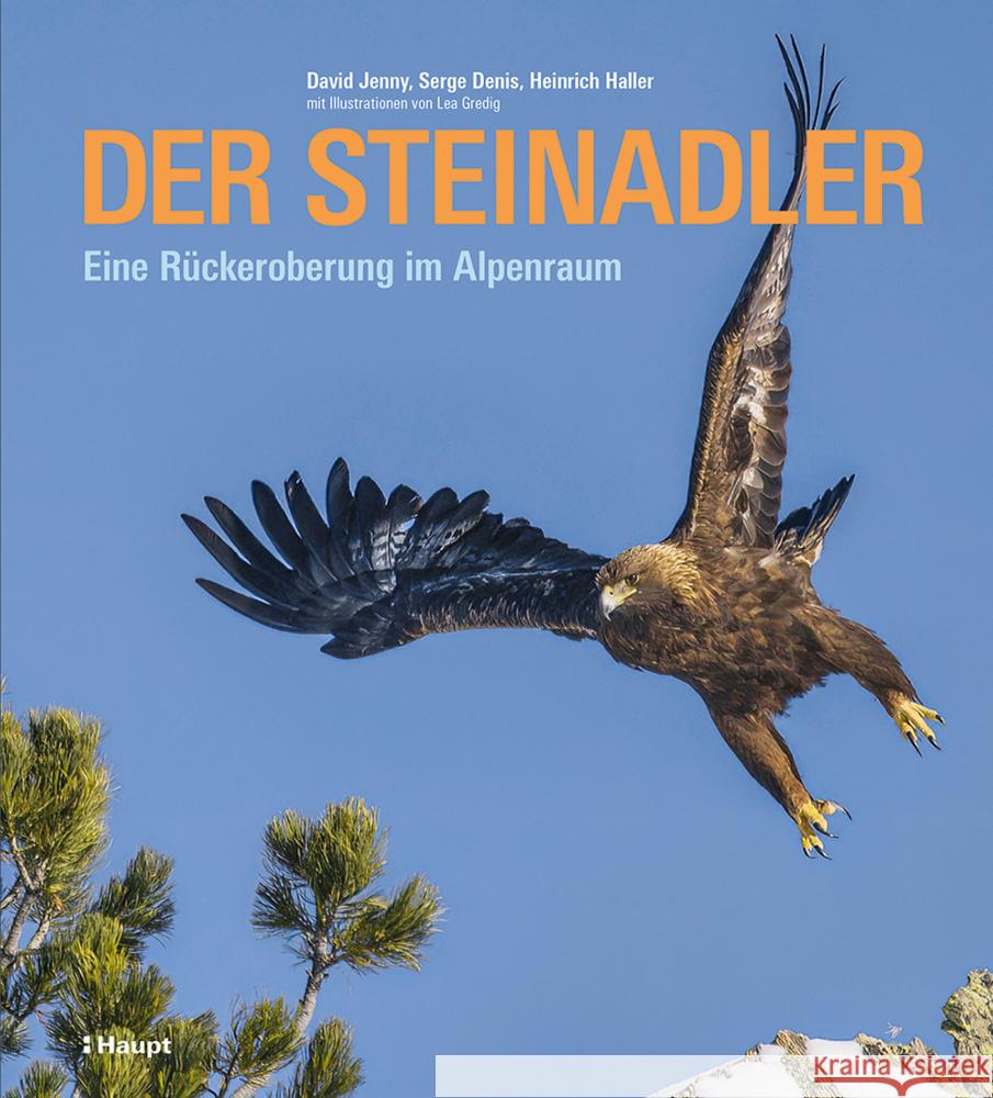 Der Steinadler Jenny, David, Denis, Serge, Haller, Heinrich 9783258083612
