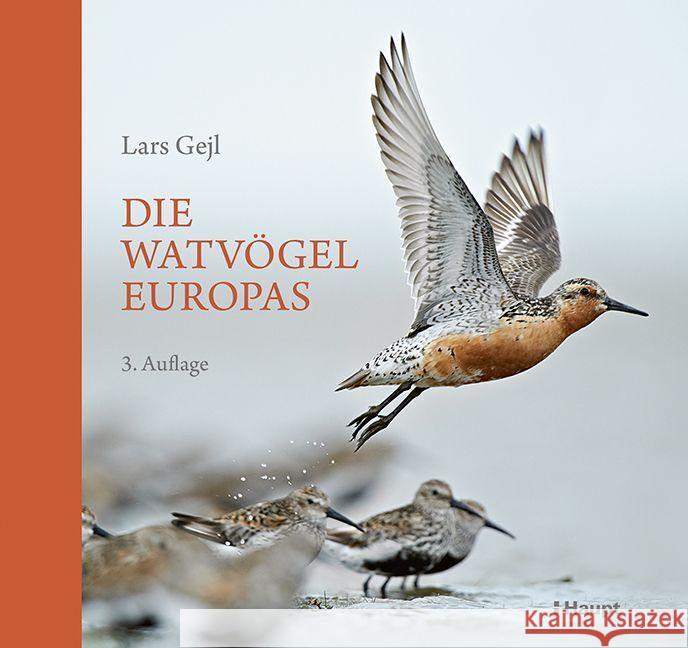 Die Watvögel Europas Gejl, Lars 9783258083919