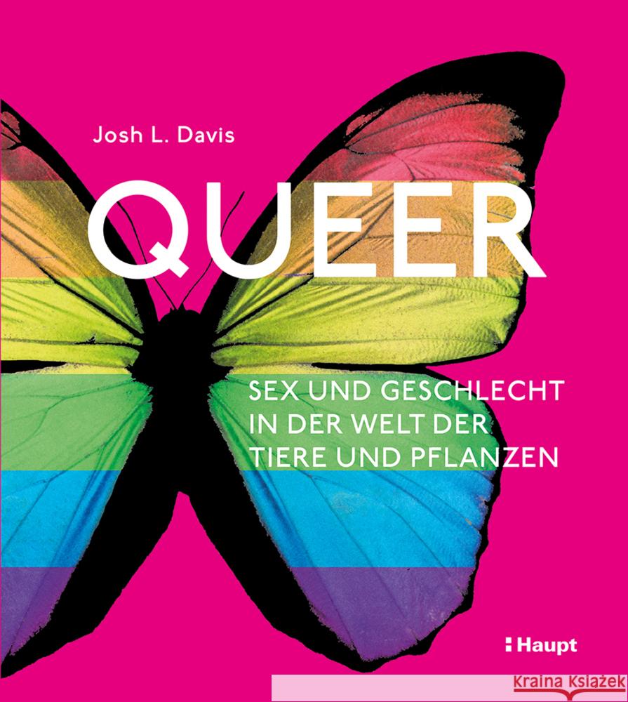 Queer Davis, Josh L. 9783258084084