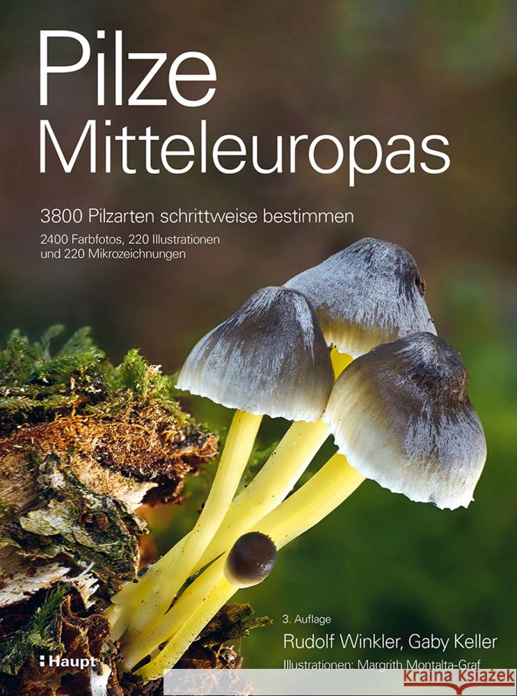 Pilze Mitteleuropas Winkler, Rudolf, Keller, Gaby, Montalta-Graf, Margrith 9783258084640