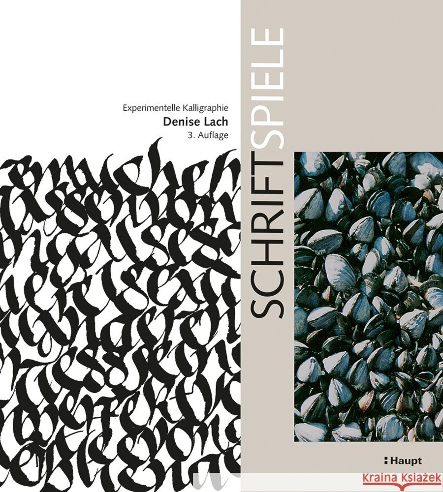 Schriftspiele Lach, Denise 9783258603094