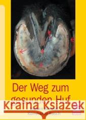 Der Weg zum gesunden Huf Biernat, Jochen; Rasch, Konstanze 9783275019830