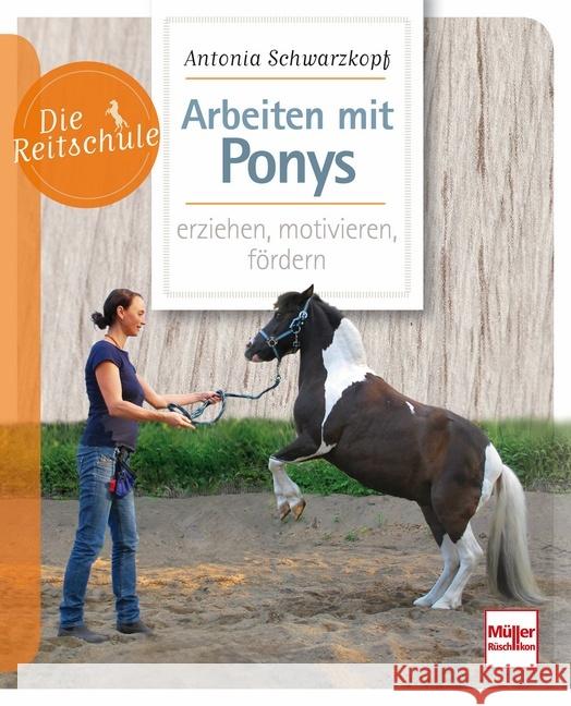 Arbeiten mit Ponys : erziehen, motivieren, fördern Schwarzkopf, Antonia 9783275020515 Müller Rüschlikon