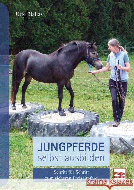 Jungpferde selbst ausbilden : Schritt für Schritt zum sicheren Freizeitpferd Biallas, Urte 9783275020966 Müller Rüschlikon