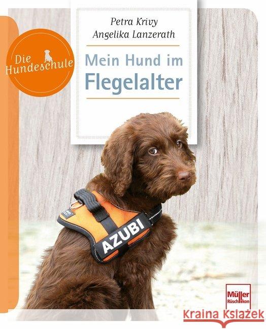 Mein Hund im Flegelalter Lanzerath, Angelika; Krivy, Petra 9783275021154 Müller Rüschlikon