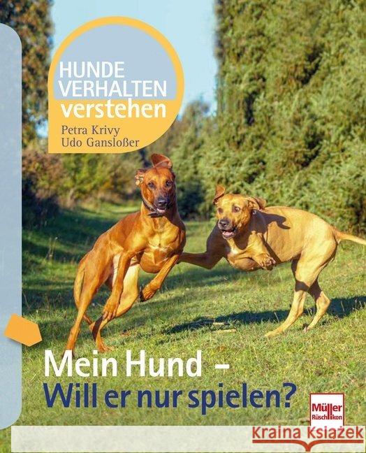 Mein Hund - Will er nur spielen? Gansloßer, Udo; Krivy, Petra 9783275021703