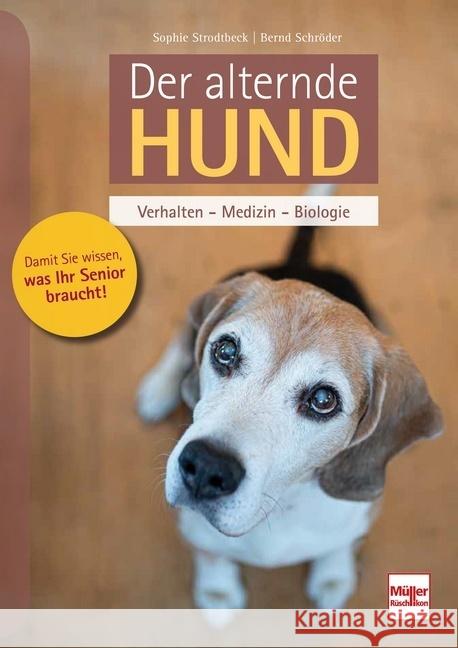 Der alternde Hund Strodtbeck, Sophie, Schröder, Bernd 9783275022298 Müller Rüschlikon