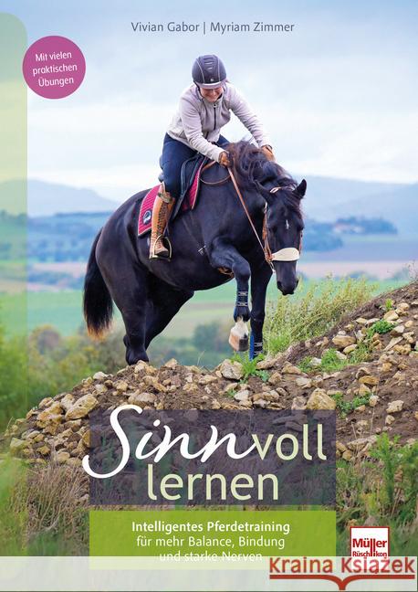 SINNvoll lernen Gabor, Vivian, Zimmer, Myriam 9783275023387