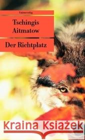 Der Richtplatz Aitmatow, Tschingis Hitzer, Friedrich  9783293203815 Unionsverlag