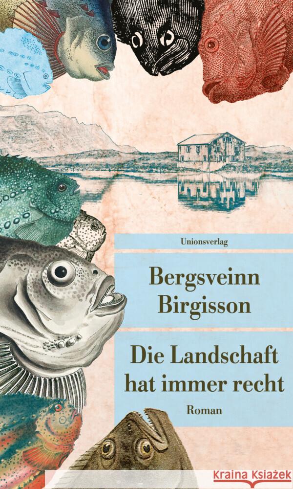 Die Landschaft hat immer recht Birgisson, Bergsveinn 9783293209718