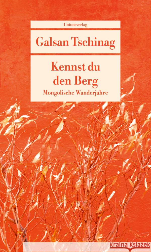 Kennst du den Berg Tschinag, Galsan 9783293710207 Unionsverlag