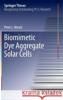 Biomimetic Dye Aggregate Solar Cells Peter L. Marek 9783319006352 Springer