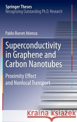 Superconductivity in Graphene and Carbon Nanotubes: Proximity Effect and Nonlocal Transport Burset Atienza, Pablo 9783319011097 Springer