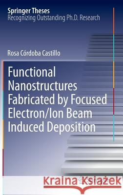 Functional Nanostructures Fabricated by Focused Electron/Ion Beam Induced Deposition Rosa Cordob 9783319020808 Springer