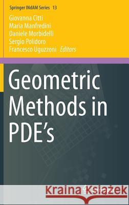 Geometric Methods in Pde's Citti, Giovanna 9783319026657