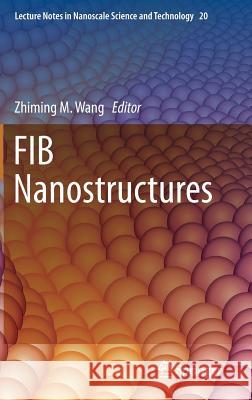 Fib Nanostructures Wang, Zhiming M. 9783319028736