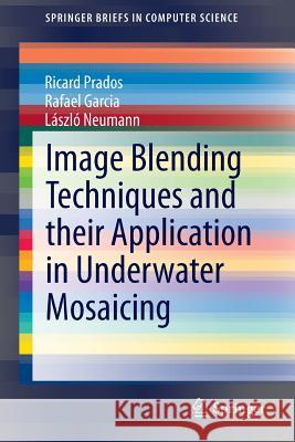 Image Blending Techniques and Their Application in Underwater Mosaicing Prados, Ricard 9783319055572 Springer