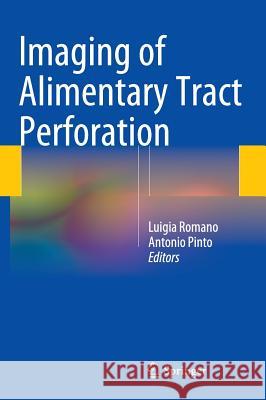 Imaging of Alimentary Tract Perforation Luigia Romano Antonio Pinto 9783319081915 Springer