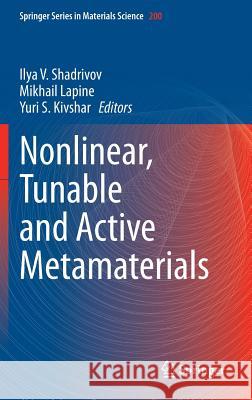 Nonlinear, Tunable and Active Metamaterials Ilya Shadrivov Mikhail Lapine Yuri S. Kivshar 9783319083858 Springer