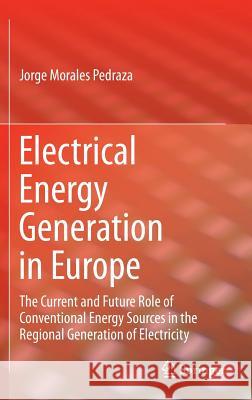 Electrical Energy Generation in Europe: The Current and Future Role of Conventional Energy Sources in the Regional Generation of Electricity Morales Pedraza, Jorge 9783319084008 Springer