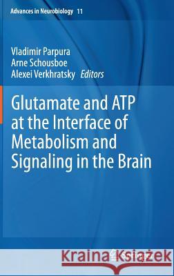 Glutamate and Atp at the Interface of Metabolism and Signaling in the Brain Parpura, Vladimir 9783319088938