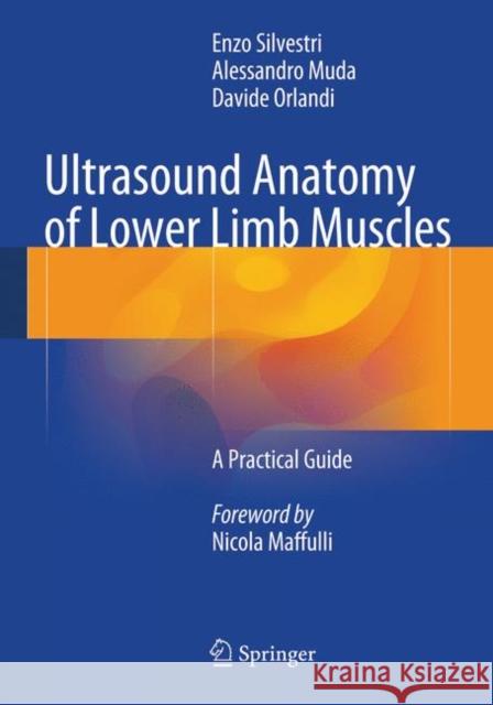 Ultrasound Anatomy of Lower Limb Muscles: A Practical Guide Silvestri, Enzo 9783319094793 Springer