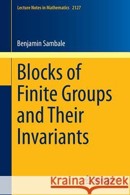 Blocks of Finite Groups and Their Invariants Benjamin Sambale 9783319120058 Springer