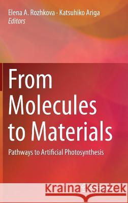 From Molecules to Materials: Pathways to Artificial Photosynthesis Rozhkova, Elena a. 9783319137995 Springer