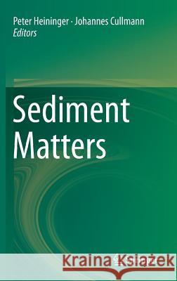 Sediment Matters Heininger, Peter 9783319146959