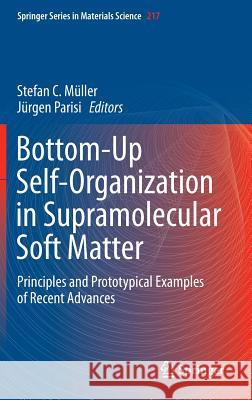 Bottom-Up Self-Organization in Supramolecular Soft Matter: Principles and Prototypical Examples of Recent Advances Müller, Stefan C. 9783319194097 Springer