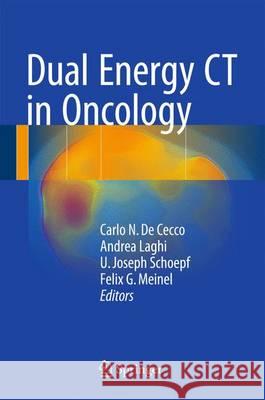 Dual Energy CT in Oncology Carlo Nicola D Andrea Laghi Uwe Joseph Schoepf 9783319195629