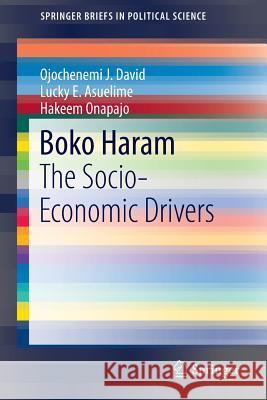 Boko Haram: The Socio-Economic Drivers David, Ojochenemi J. 9783319212296 Springer