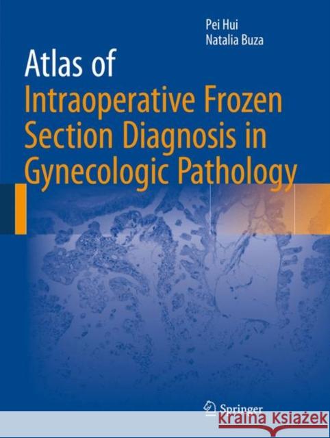 Atlas of Intraoperative Frozen Section Diagnosis in Gynecologic Pathology Pei Hui Natalia Buza 9783319218069 Springer