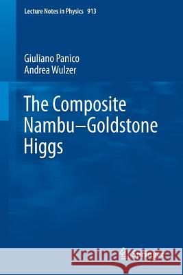 The Composite Nambu-Goldstone Higgs Giuliano Panico Andrea Wulzer 9783319226163 Springer