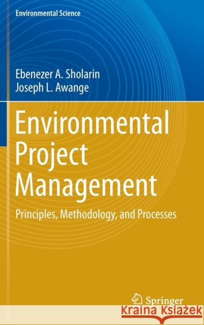 Environmental Project Management: Principles, Methodology, and Processes Sholarin, Ebenezer a. 9783319276496 Springer