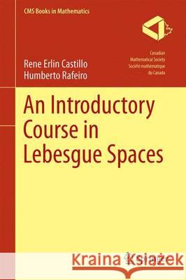 An Introductory Course in Lebesgue Spaces Rene Erlin Castillo Humberto Rafeiro 9783319300320 Springer
