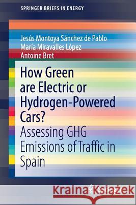 How Green Are Electric or Hydrogen-Powered Cars?: Assessing Ghg Emissions of Traffic in Spain Montoya Sánchez de Pablo, Jesús 9783319324333