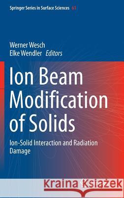 Ion Beam Modification of Solids: Ion-Solid Interaction and Radiation Damage Wesch, Werner 9783319335599 Springer