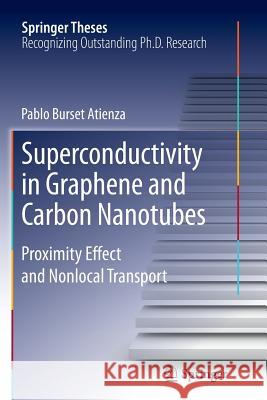 Superconductivity in Graphene and Carbon Nanotubes: Proximity Effect and Nonlocal Transport Burset Atienza, Pablo 9783319346137 Springer