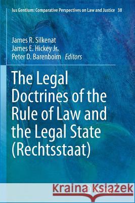 The Legal Doctrines of the Rule of Law and the Legal State (Rechtsstaat) James R. Silkenat James E. Hicke Peter D. Barenboim 9783319350028 Springer
