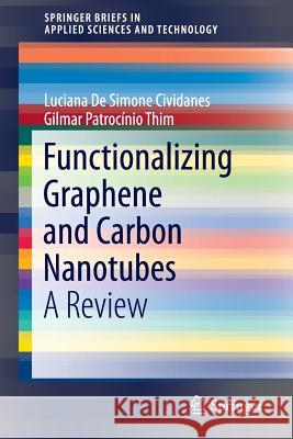 Functionalizing Graphene and Carbon Nanotubes: A Review Ferreira, Filipe Vargas 9783319351094 Springer