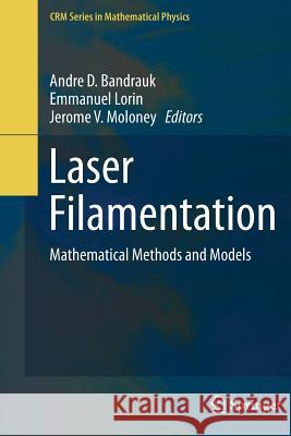 Laser Filamentation: Mathematical Methods and Models Bandrauk, Andre D. 9783319359540 Springer