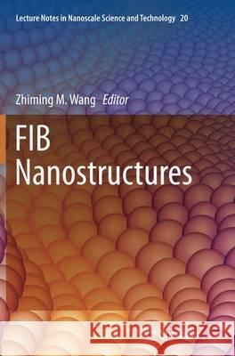 Fib Nanostructures Wang, Zhiming M. 9783319374680 Springer