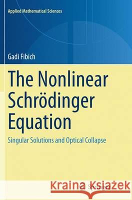 The Nonlinear Schrödinger Equation: Singular Solutions and Optical Collapse Fibich, Gadi 9783319375960 Springer