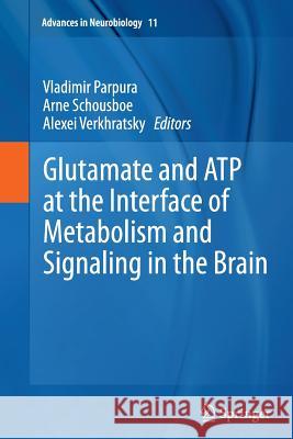 Glutamate and Atp at the Interface of Metabolism and Signaling in the Brain Parpura, Vladimir 9783319376455 Springer