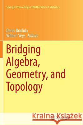 Bridging Algebra, Geometry, and Topology Denis Ibadula Willem Veys 9783319378374 Springer