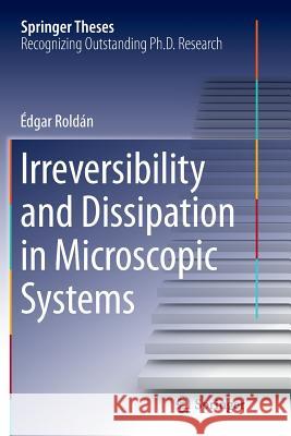 Irreversibility and Dissipation in Microscopic Systems Edgar Roldan 9783319383842 Springer