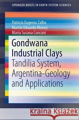 Gondwana Industrial Clays: Tandilia System, Argentina-Geology and Applications Zalba, Patricia Eugenia 9783319394558 Springer