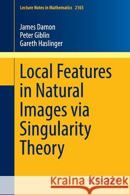 Local Features in Natural Images Via Singularity Theory Damon, James 9783319414706 Springer